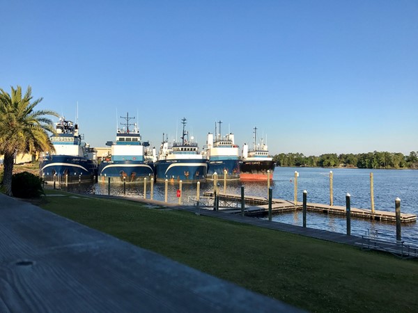 Boats docked at Gulfport Lake