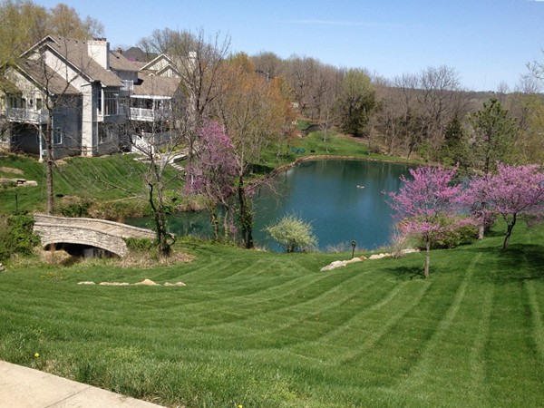 Beautiful pond located at The Thornbird subdivision 