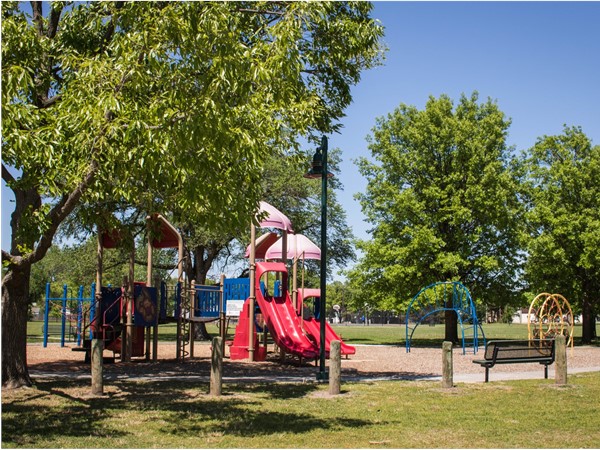 Playground area at Schweiter Park