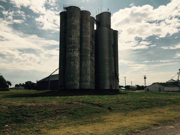 Large grain elevators are rare and these are amazing