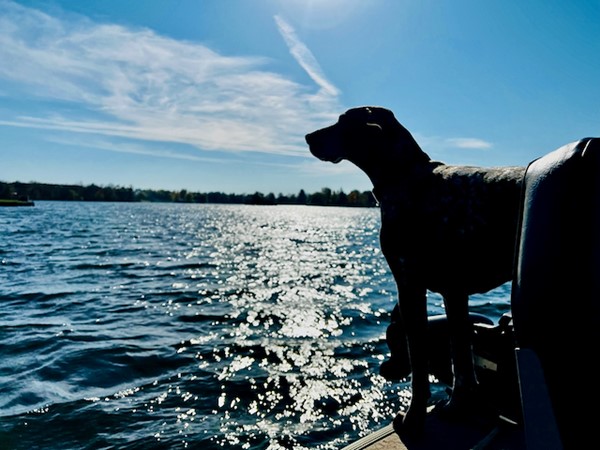 Jake the Dog fishing at Wiggins Lake