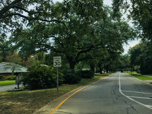 The beautiful two-way road with trees planted in the median provides a peaceful atmosphere
