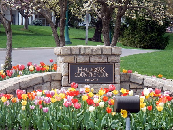 Springtime in Hallbrook