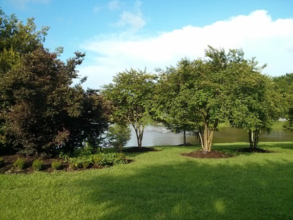 Lake view at Fountain Hill subdivision in Prairieville
