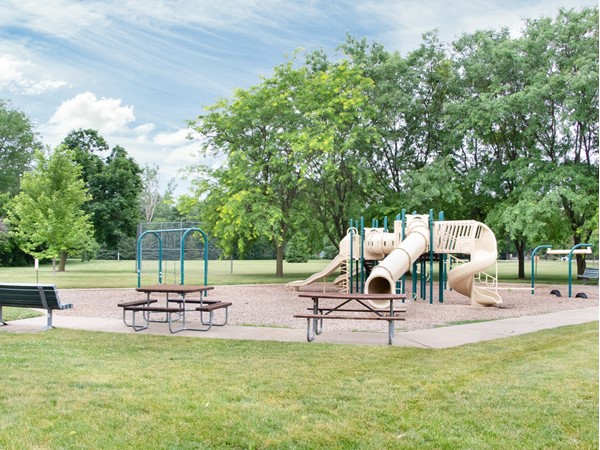 The playground at Bigelow Park is surrounded by many different types of trees and shrubs