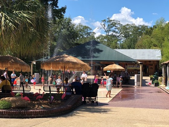 Wear you bathing suit and cool off in the splash pad at Hattiesburg Zoo