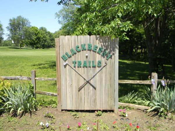 Blackberry Trails Golf course in Archie, MO
