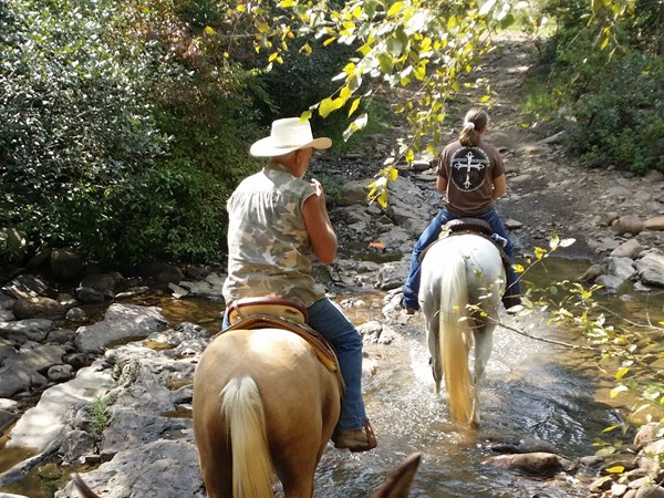 Trail riding from Lonesome D Horse & RV Camp: ride from your camp into a beautiful national forest 