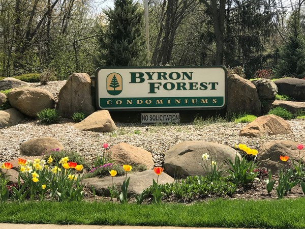 Byron Forest Condominiums
