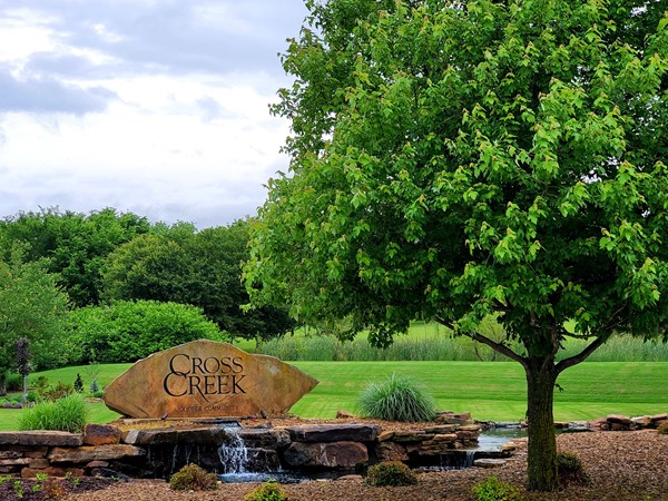Green belts & flowing water throughout this subdivision yield a gorgeous park-like ambiance 