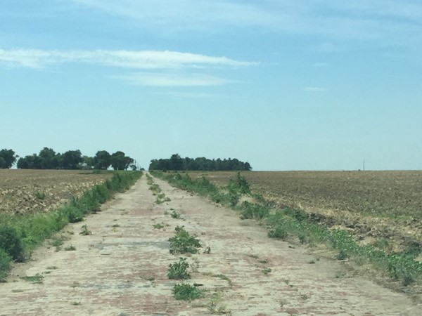 Dirt road turned brick in rural Rice County