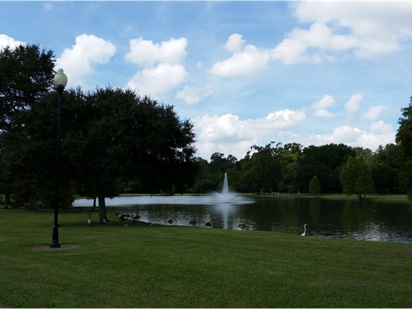 Laurel Lakes Estates subdivision is tucked in the back of Riverbend subdivision off of Brightside