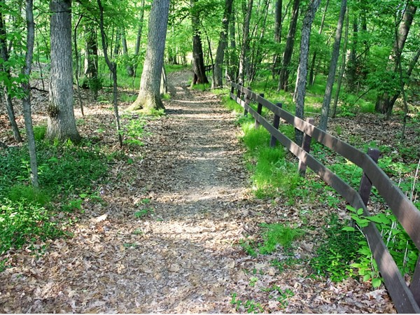 Enter the 1.2 mile "black trail" from Woodwind Trail at the Trails of Lake Lansing