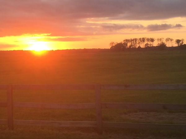 Farmland, fences, and sunsets...what more could you want? Silverhill, Alabama