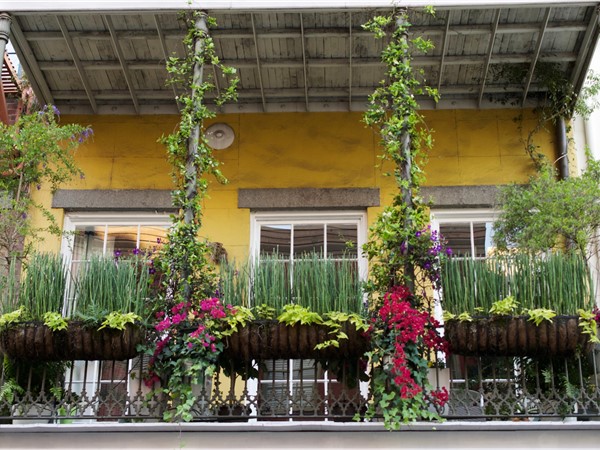 Blossoming balcony garden in The French Quarter