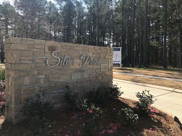 Perfect lots inside gated Lakeside On Long Lake Subdivision. 1/2 acre lots 