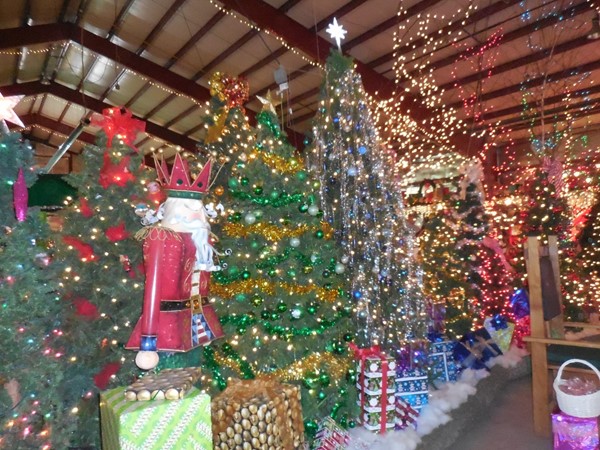 Santa's Village at the Saginaw County Fairgrounds. Open Saturdays and Sundays after Thanksgiving