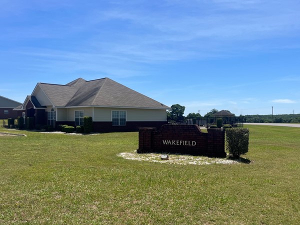 A great subdivision to purchase investment property!
