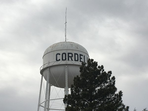 Love the town pride on the water tower 