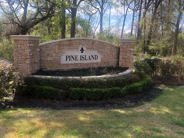 Mixed DSLD subdivision centrally located in Ponchatoula with great access to both interstates