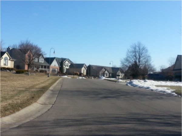 Streetview of Waters Edge Subdivision, Grand Blanc Township, MI
