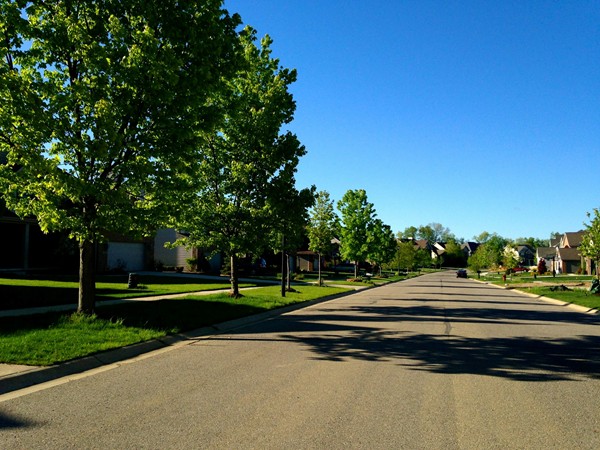 Attractive tree-lined streets