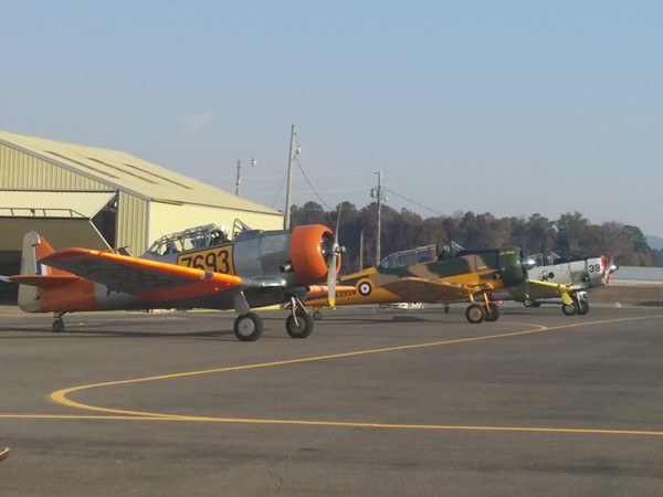Vintage planes on display at the Guntersville Municipal Airport