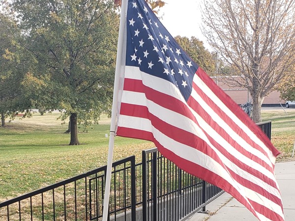 American flags for Veterans Day celebration 