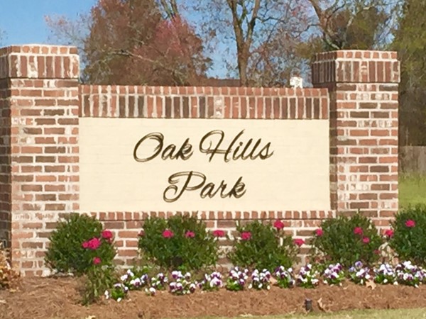 Oak Hills Park is a wonderful neighborhood and part of Greater Oak Hills Civic Association 