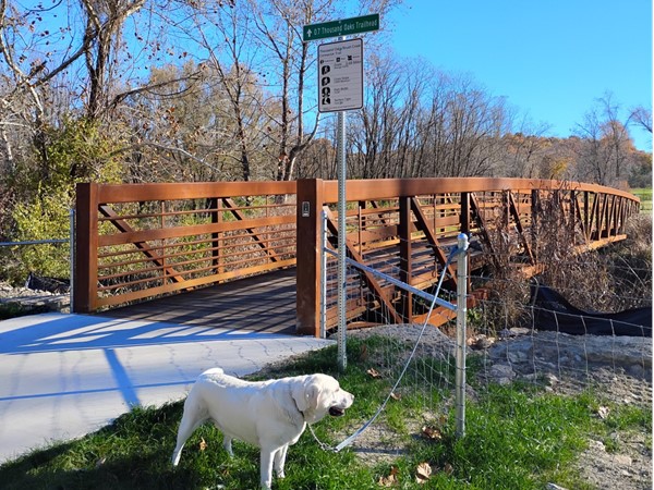 Maverick loves the Thousand Oaks trail!