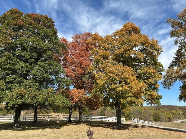 It’s fall in Platte County!