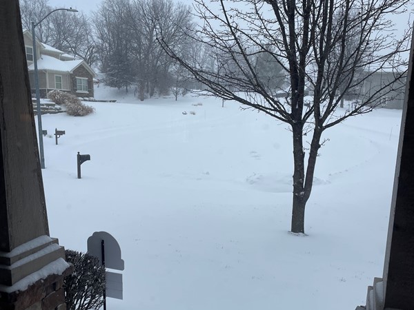 Falling snow - welcome 2025!