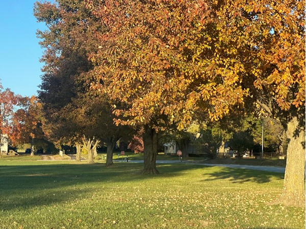 The lawn in front of Glendale Elementary 