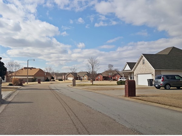 Maple Valley subdivision in the much sought after Valley View School District in Jonesboro