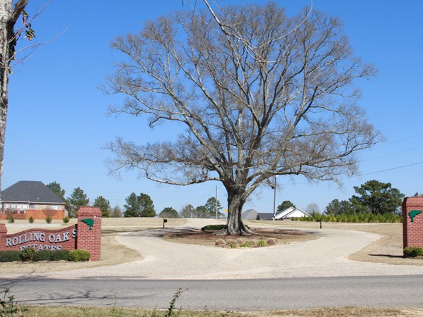 The entrance of Rolling Oaks Estates Subdvision in the North Pike School District of McComb, MS!!