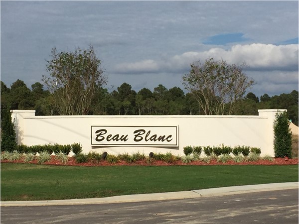 Beau Blanc Subdivision in South Lake Charles featuring new homes in the high $180's to low $200's.