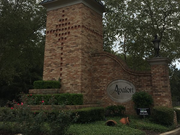 Avalon is one of Flowood's most sought after neighborhoods