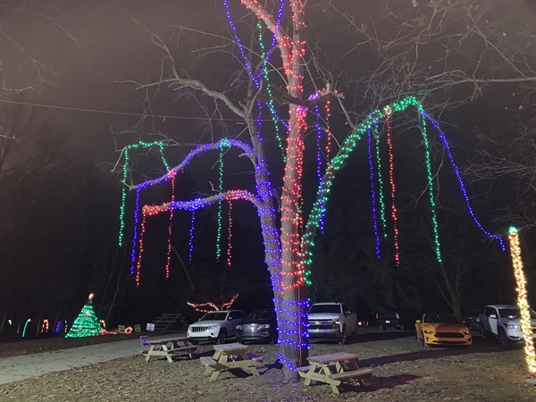 Trail of Lights at Robert Williams Park
