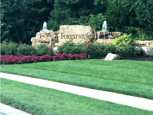 Welcome to Forest View Neighborhood