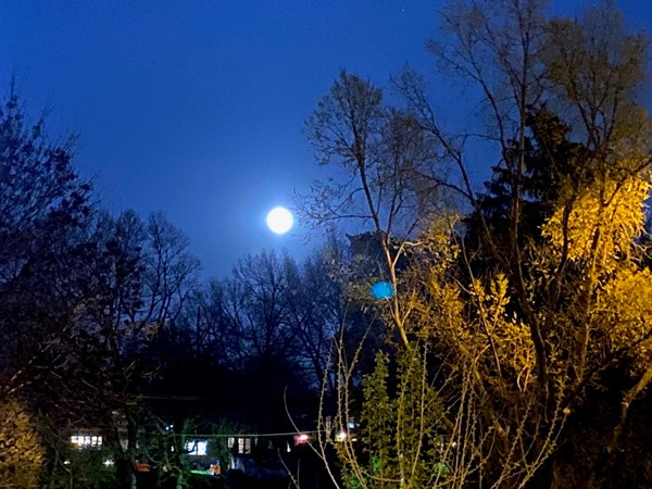 Super Pink Moon viewed from Triangle Park on April 7, 2020