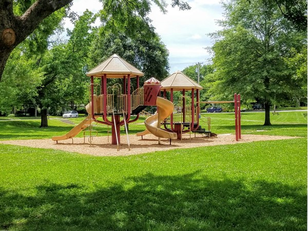 Bring the kids to play at Ottawa's City Park