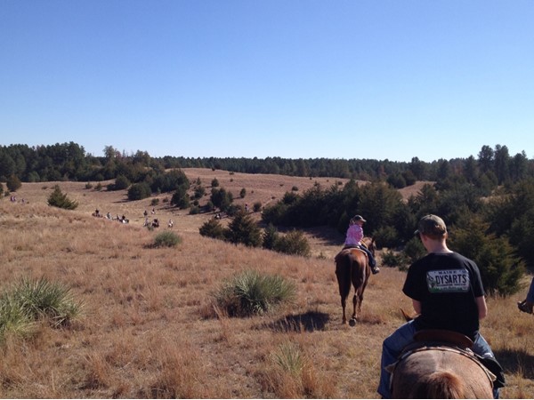 Halsey National Forest is an amazing place to ride horses