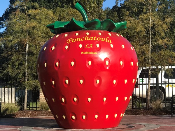 Ponchatoula is home to the annual Strawberry Festival 