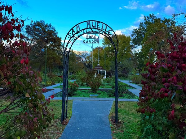 Liberty Park Rose Garden 