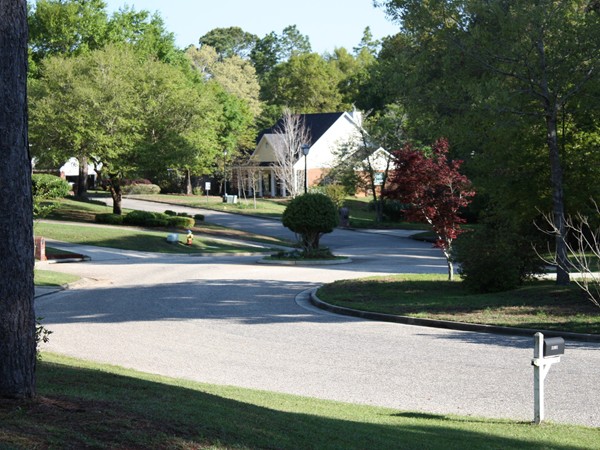 Wakefield subdivision, located in the Spanish Fort School district 