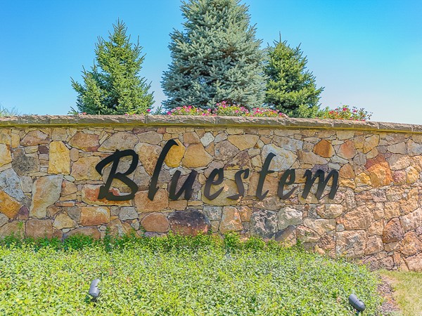 Welcome to Blustem 