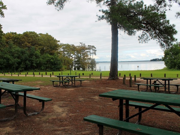From the lake shore of Ford Park, enjoy a picnic and Cross Lake views