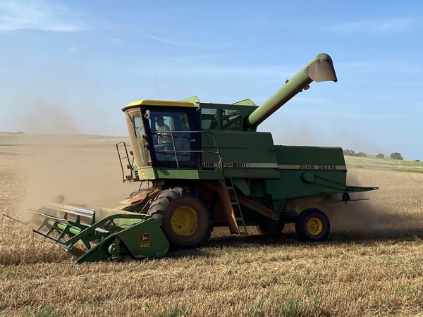 Wheat harvest - feeds the world