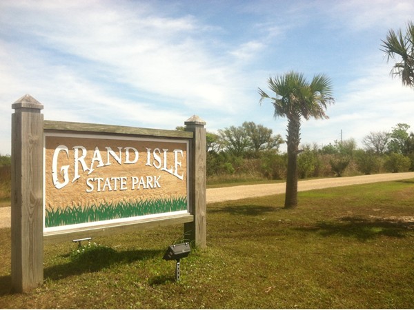 Grand Isle State Park is at the very end of the island and is great for camping and bird watching!