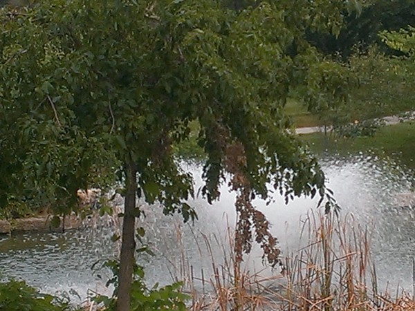 One of the "Welcome Home" lakes and fountain just inside the Bent Oaks entrance
